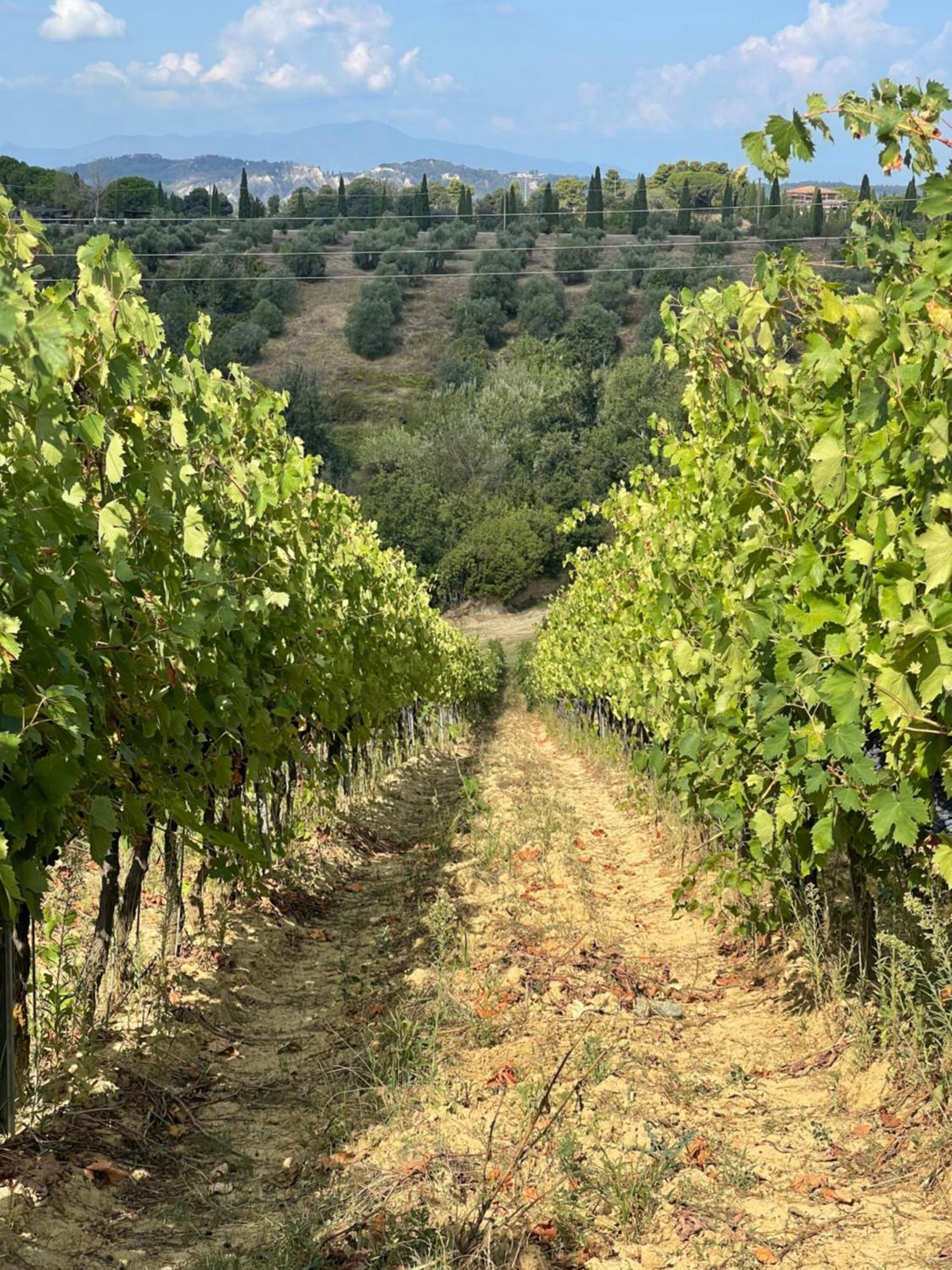 Castellare Di Tonda 4* Montaione